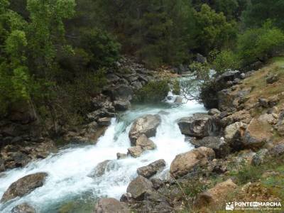 Parque Natural Cazorla-Sistema Prebético;monasterio del paular calblanque san sebastián de los rey